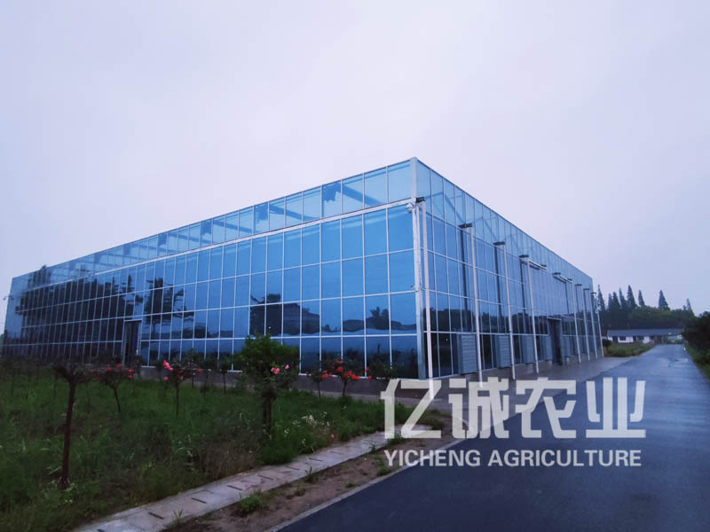 智能化玻璃溫室大棚建設廠家：讓農業生產更科技化、高效化的選擇